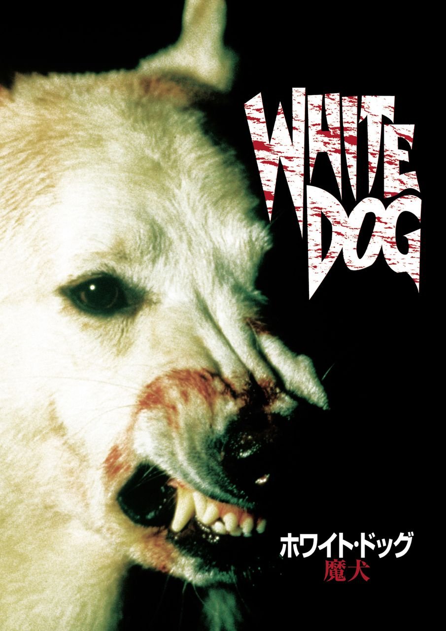 ホワイト・ゴッド 少女と犬の狂詩曲(ラプソディ) [DVD] ggw725x Amazon.co.jp: ホワイト・ゴッド 少女と犬の狂詩曲(ラプソディ